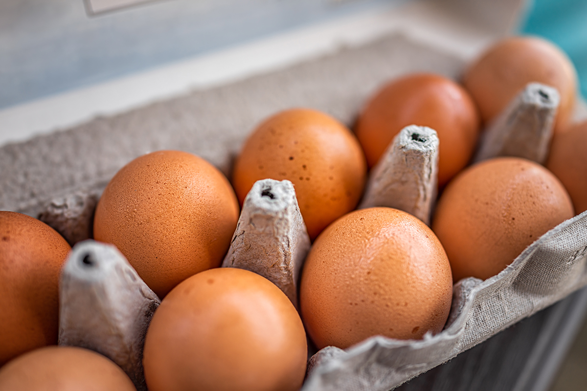 Closeup macro of pasture raised farm fresh dozen brown eggs store bought from farmer in carton box container with speckled eggshells texture Carton of eggs