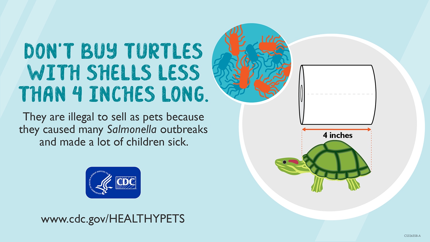 dont-buy-turtles-less-than-4-inches-long Don't buy turtles less than 4 inches long