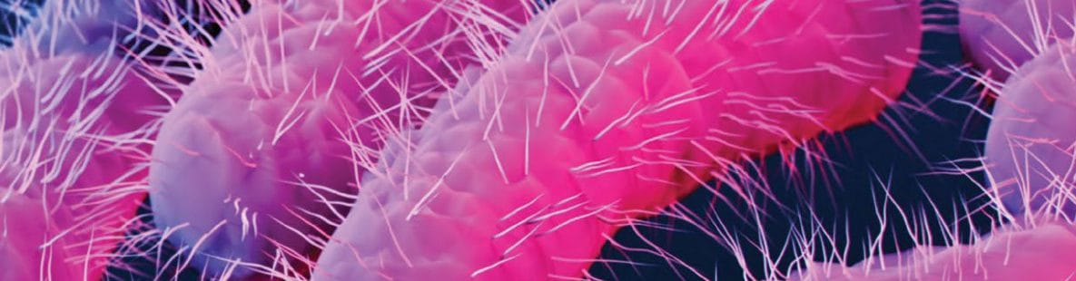Shigella Prevention and Control Toolkit banner image Shigella Prevention and Control Toolkit banner