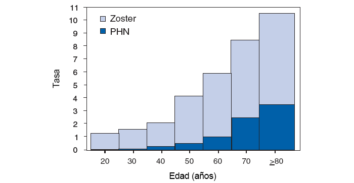 Figura1: esta figura muestra las tasas de culebrilla y neuralgia posherpética (PHN) por edad en los Estados Unidos. A partir de los 20 años, las tasas de la culebrilla y la PHN por cada 1000 personas aumenta a medida que la edad aumenta, y las personas de más de 80 años tienen las tasas más altas de ambas condiciones médicas. Fuente: http://www.cy118119.com/mmwr/preview/mmwrhtml/rr5705a1.htmShingle