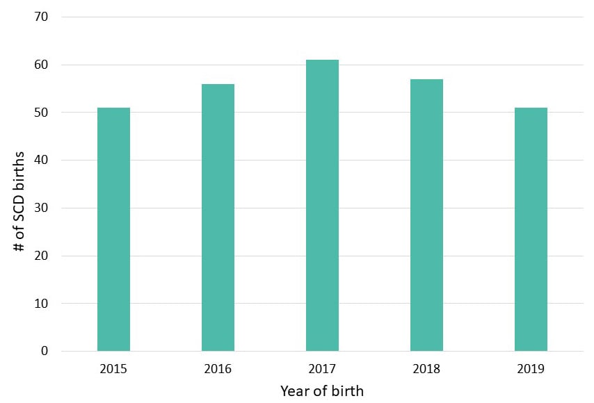 Figure 1: Annual Number of SCD Births, Alabama Newborn Screening Data, 2015–2019