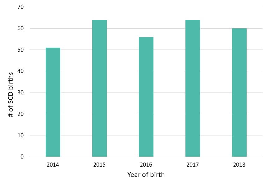 Figure 1: Annual Number of SCD Births, Michigan Newborn Screening Data, 2014–2018