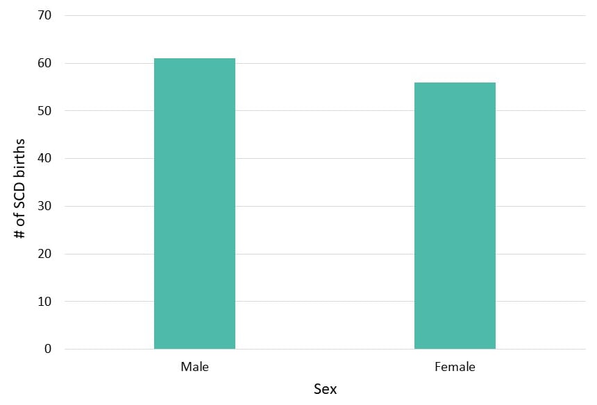 Figure 2: There was a total of 117 SCD births in Wisconsin during 2016–2020. There were 61 male births (52%) and 56 female births (48%).