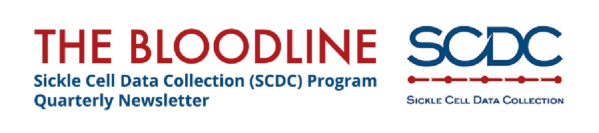 The Bloodline Newsletter logo The Bloodline Newsletter logo