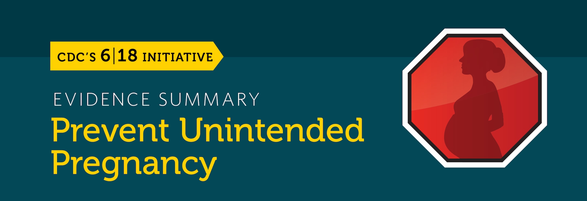 The prevent unintended pregnancy evidence summary banner.