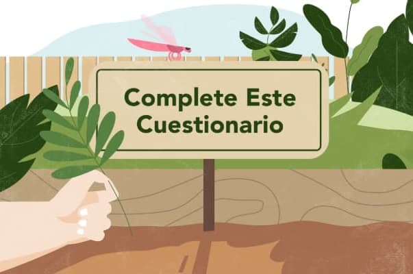 Complete este cuestionario