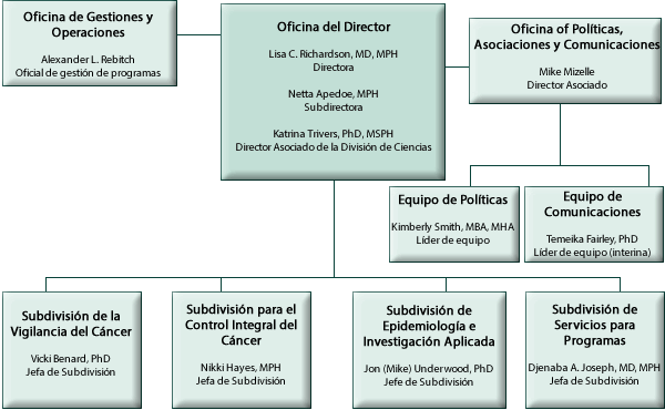 Organigrama de la División de Prevención y Control del Cáncer