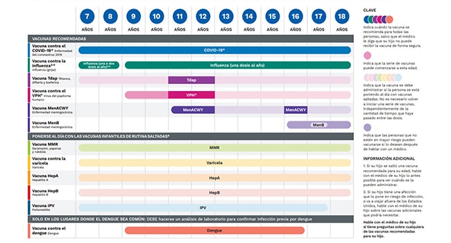 Vacunas desde los 7 a los 18 años de edad Vacunas desde los 7 a los 18 años de edad
