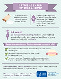 soft-cheese-infographic-80px soft cheese infographic