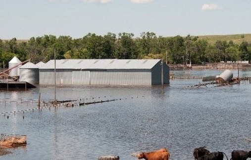 Vista de una granja inundada que muestra la parte inferior de un granero y de un silo en el agua; se ven árboles al fondo de la foto. Vista de una granja inundada que muestra la parte inferior de un granero y de un silo en el agua; se ven árboles al fondo de la foto.