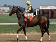 racehorse2sm.jpg_29126 caballo de carrera y jinete