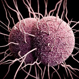 Gonorrhea