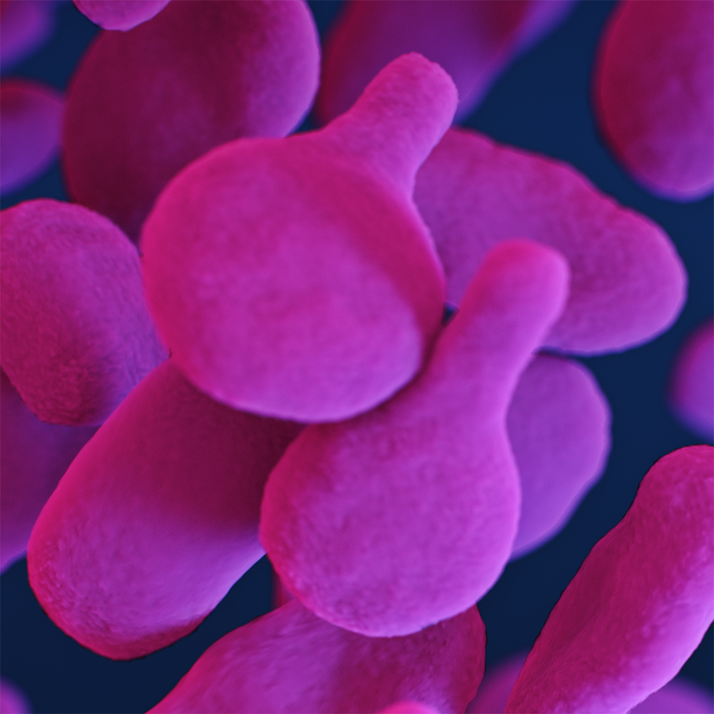 <em>Mycoplasma genitalium</em> (Mgen) Mycoplasma genitalium (Mgen)