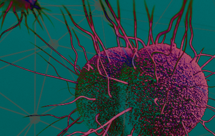 GISP Profiles GISP Profiles