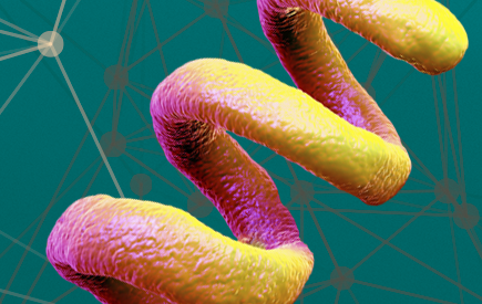 Syphilis Supplement 2016-2020