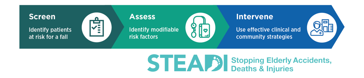 STEADI (Stopping Elderly Accidents, Deaths & Injuries) logo - Screen, Assess, Intervene