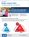 STEADI-_Clinician_Fact_Sheet-a-1.jpg thumbnail image of PDF