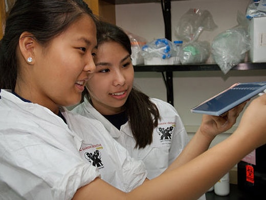 jdg_1053 Disease detective campers working together