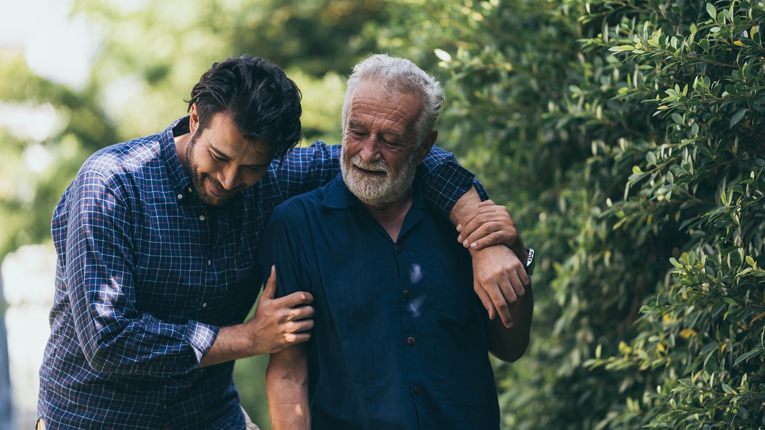 The old man and his son are walking in the park. A man hugs… The old man and his son are walking in the park. A man hugs…