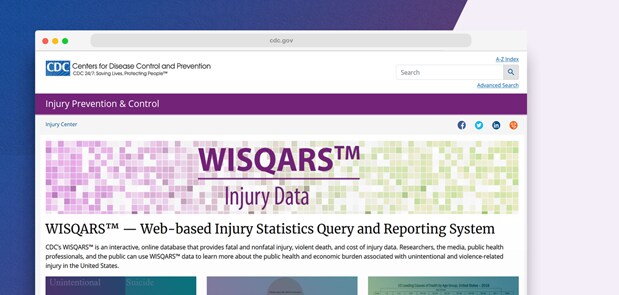 Image of the WISQARS Injury Data webpage