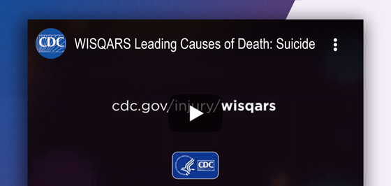 WISQARS Leading Causes of Death: Suicide Image of the WISQARS Leading Causes of Death: Suicide video