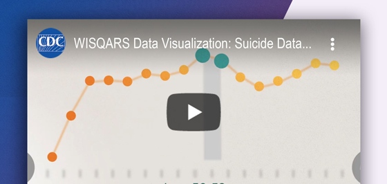 WISQARS: Suicide Data Visualization by Age Group Screenshot of the WISQARS Data Visualization: Suicide Data screen