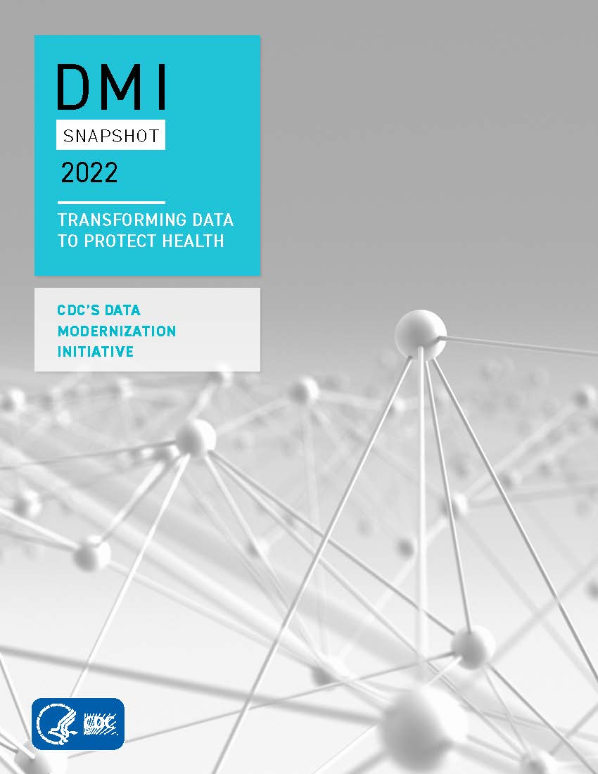 2022 DMI Snapshot cover 2022 DMI Snapshot cover