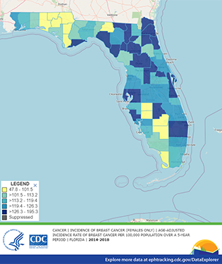 FL_BreastCancer_County_300x375 Florida breast cancer by county