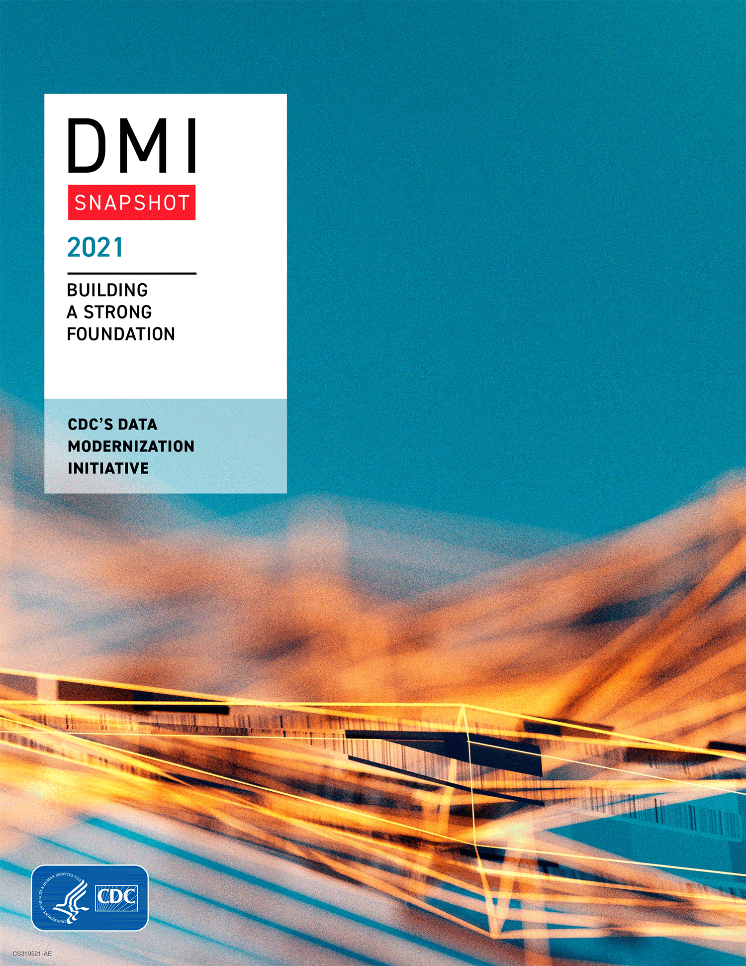 DMI-Snapshot_cover 2021 DMI Snapshot cover