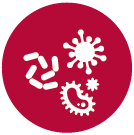 Germs