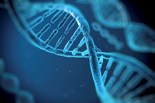 GenotypingImage.jpg Genotype