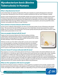 Bovine Tuberculosis in Humans Fact Sheets PDF file
