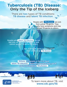 TB-infographics-Banner-Iceberg 1 TB Infographics -Web Graphics
