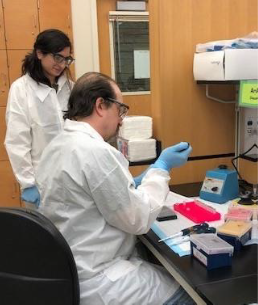 Lab-Branch Lab workers