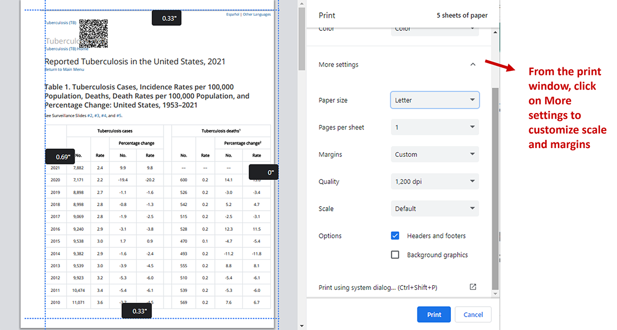 chrome-fig2 Screen image showing more print options to customize scale and margins
