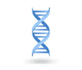 Blue DNA Icon Structure Molecular Science and Biology Concept on White Background - Vector Illustration DNA