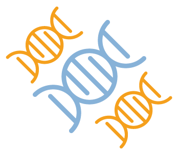 Image of 3 Genes