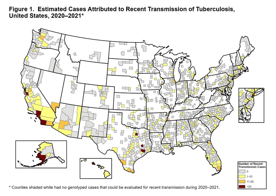 Figure 1 Figure 1. Estimated Cases Attributed to Recent Transmission of Tuberculosis, United States, 2020-2021