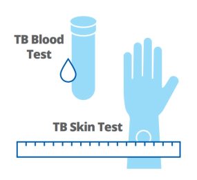 hcp-testing Explain the Testing Process