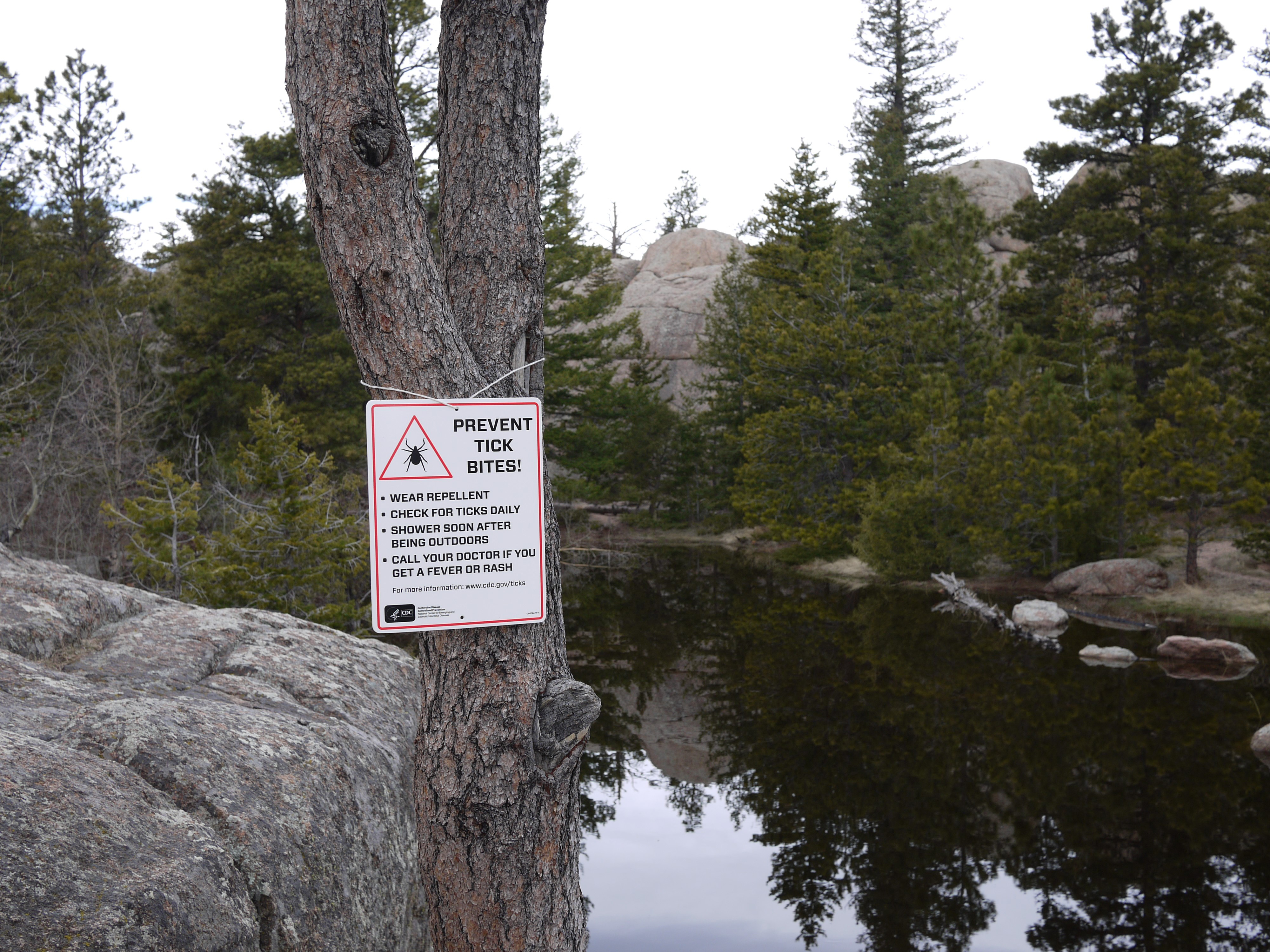 Photo of a tick trail sign on a western hiking trail.