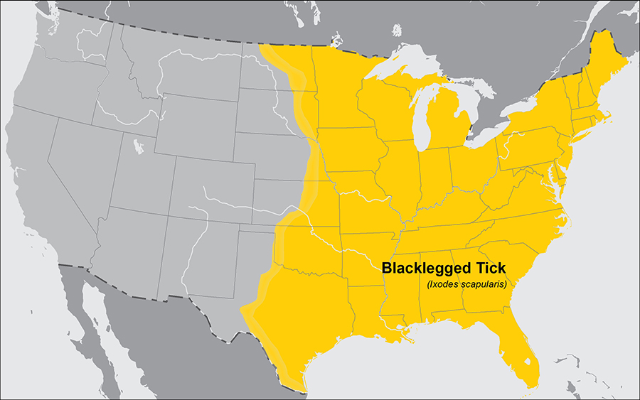 lgmap-blacklegged_tick.jpg Approximate distribution of the Blacklegged tick in the United States of America. The map shows that the blacklegged tick is widely distributed across the entire eastern half of the United States
