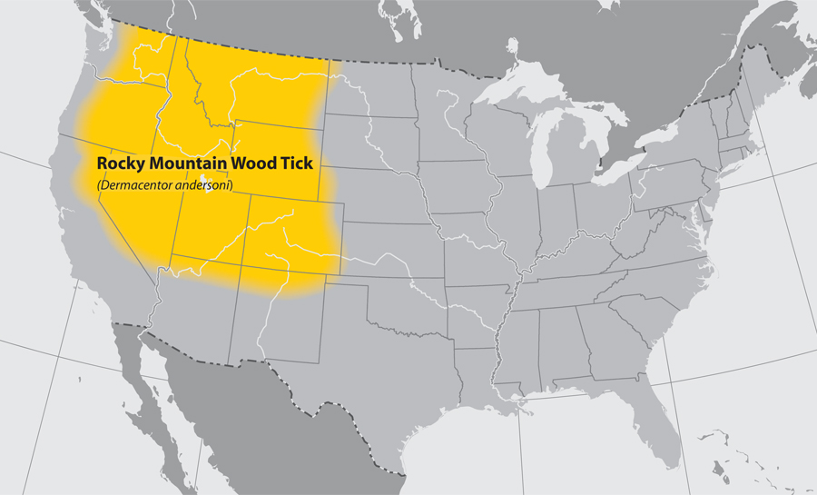 lgmap-rocky_mountain_wood_tick.jpg Map of the United States showing the approximate distribution of the Rocky mountain wood tick. The area effected is the Northwestern part of the country.