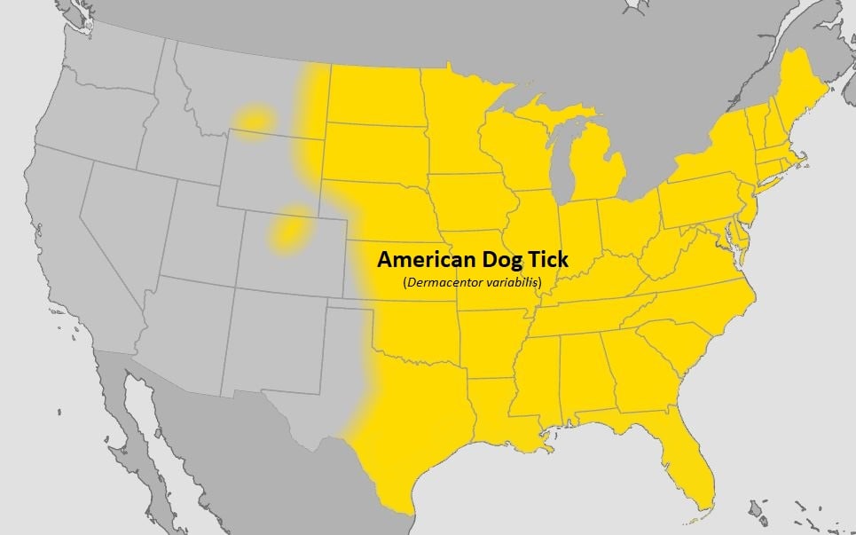 D. variabilis map Approximate distribution of the American dog tick (D. variabilis) in the United States.