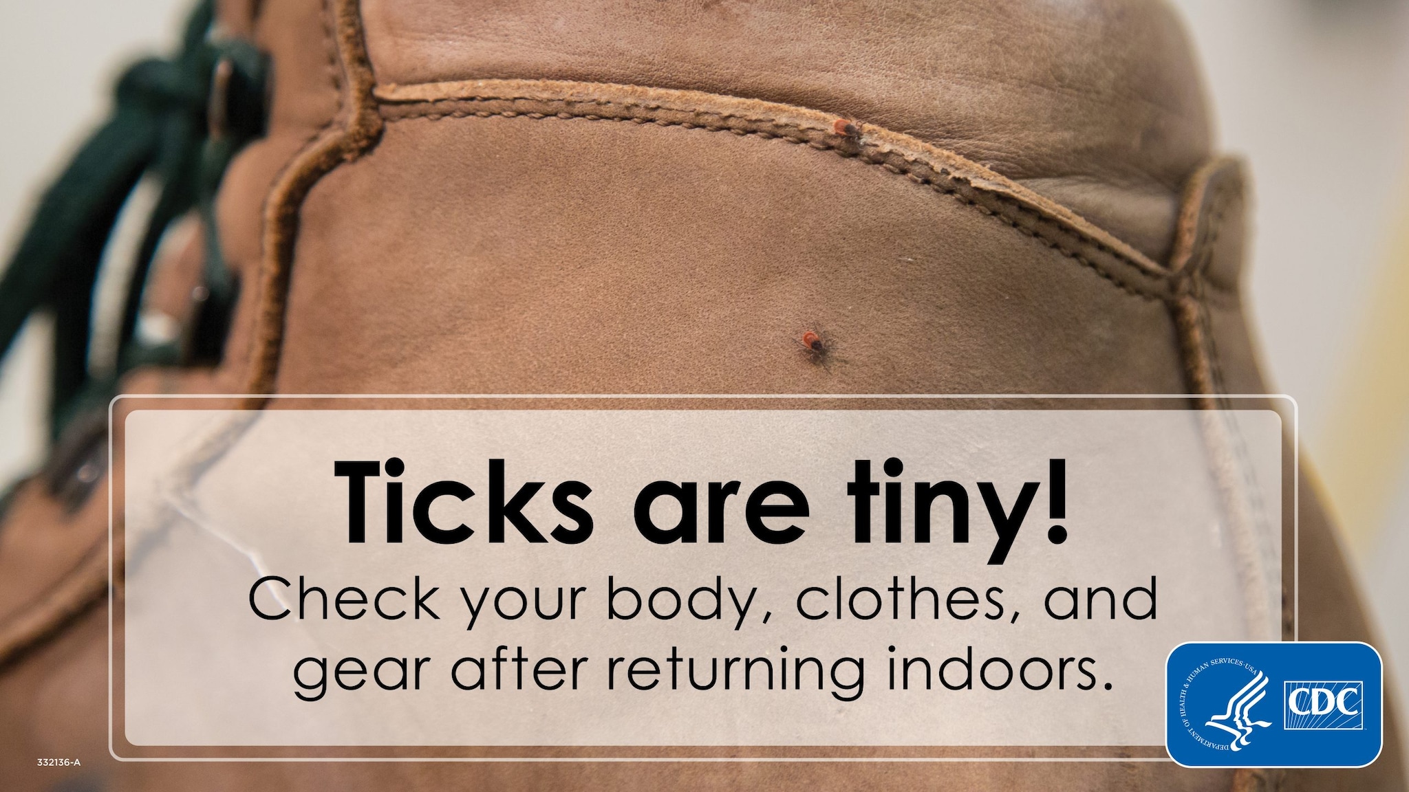 Image of ticks on a boot.