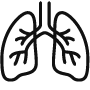 Lungs icon