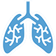 Lungs
