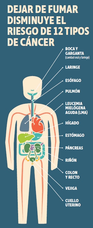12-types-of-cancer Dejar de fumar reduce el riesgo de 12 tipos de cáncer