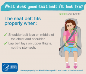 What does good seat belt fit look like What does good seat belt fit look like? The seat belt fits properly when: shoulder belt lays on the middle of the chest and shoulder, and lap belt lays on upper thighs, not the stomach. Always properly buckle children aged 12 and under in the back seat! HHS CDC