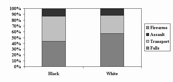 Slide 7 - Figure 5: TBI in Children Aged 0-4 Years: Proportion by Cause & Race, 1997