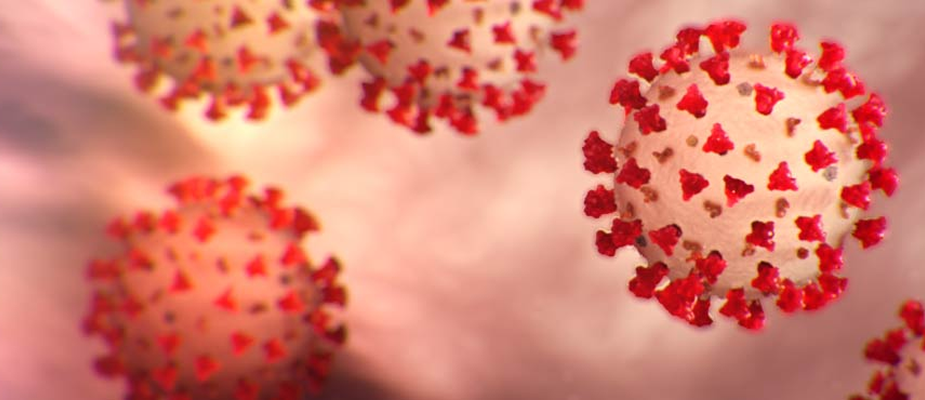 coronavirus